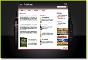 Exemple de conception de site web de vente de vins